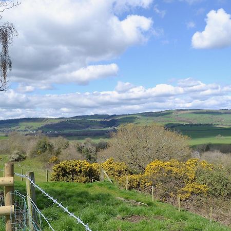 Callow Lodge Meadowtown Esterno foto